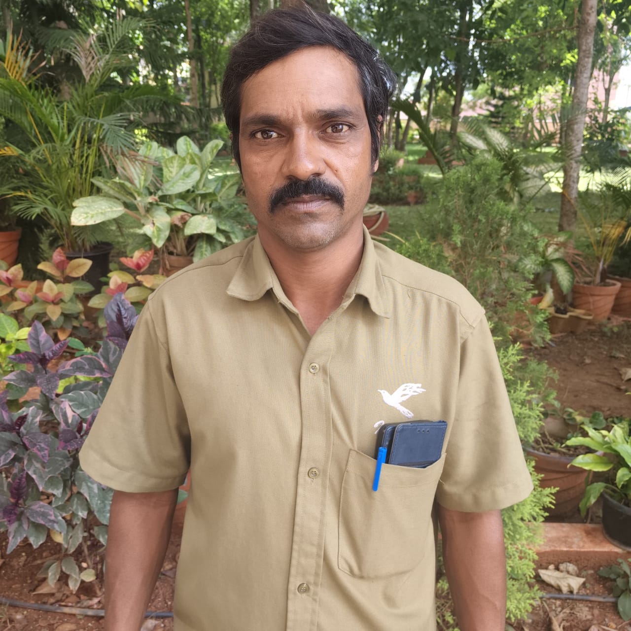 Faculty Image
